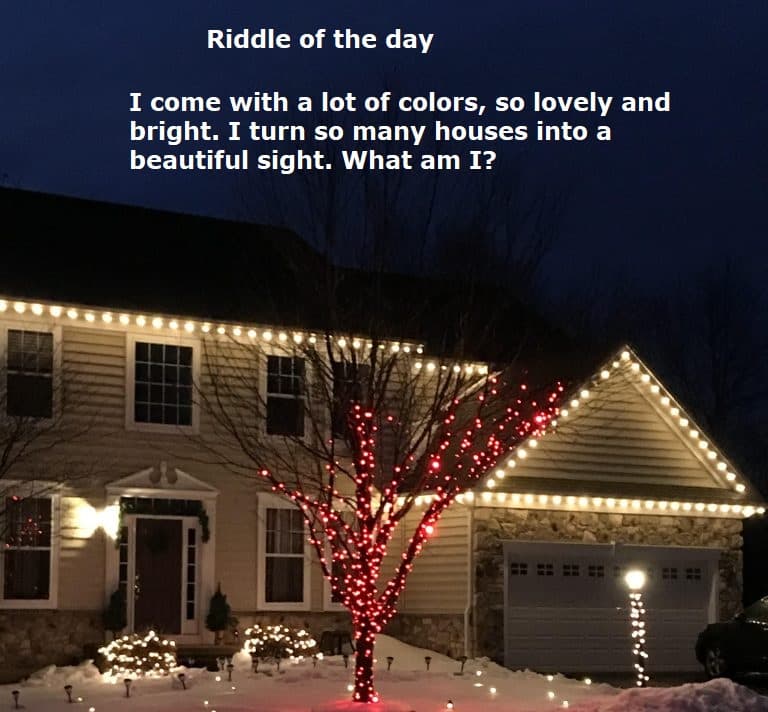 I come with a lot of colors, so lovely and bright. I turn so many houses into a beautiful sight. What am I?